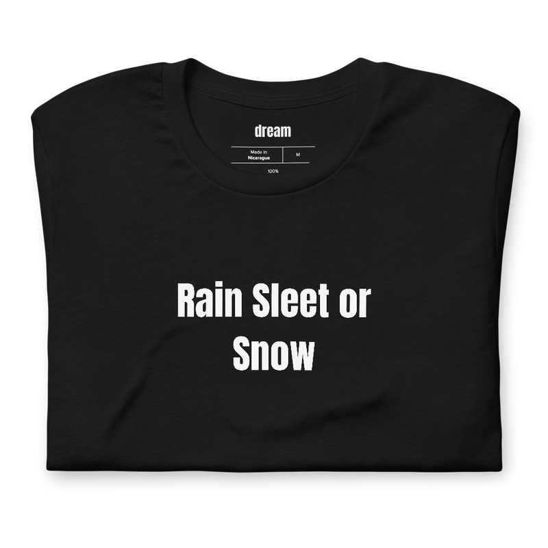 Rain Sleet or Snow - Mail Carrier t-shirt