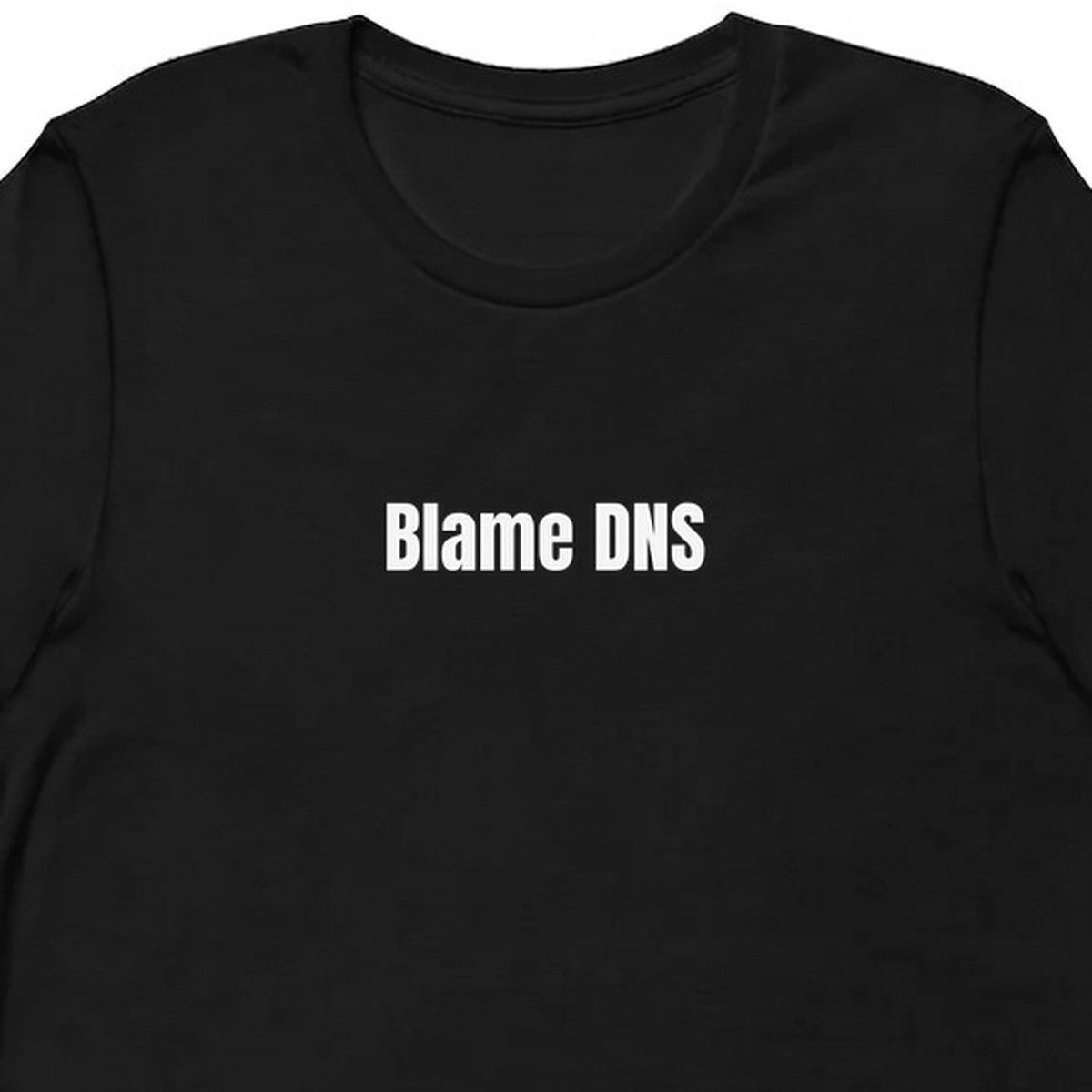 Blame DNS - Tech Support Survivor t-shirt