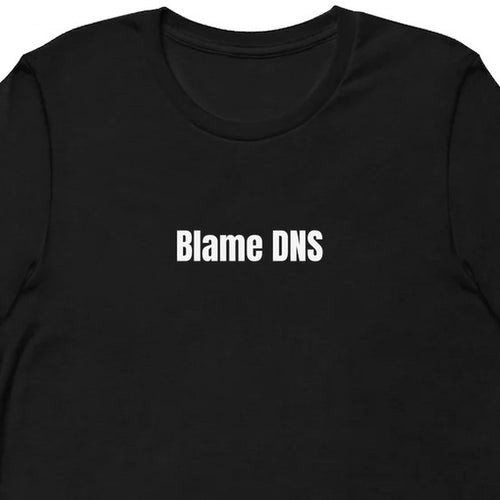 Blame DNS - Tech Support Survivor t-shirt