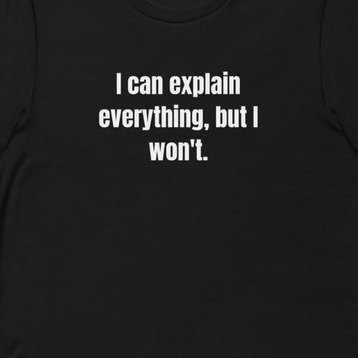 I can explain everything, but I won't. - Professional Bad Influence t-shirt
