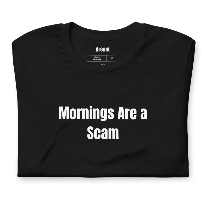 Mornings Are a Scam - Not a Morning Person t-shirt