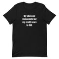 My vibes are immaculate but my credit score is 450. - Professional Bad Influence t-shirt