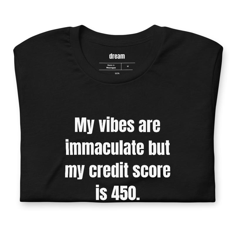 My vibes are immaculate but my credit score is 450.