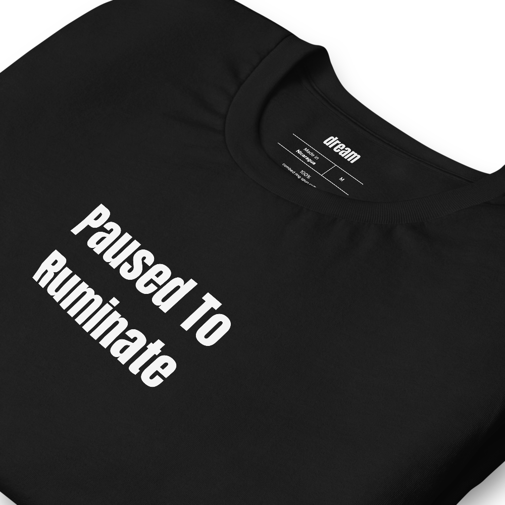 Paused To Ruminate