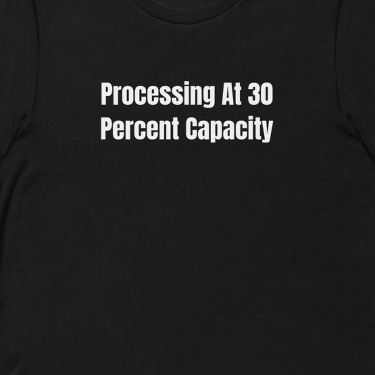 Processing At 30 Percent Capacity - Feral Self-Care t-shirt