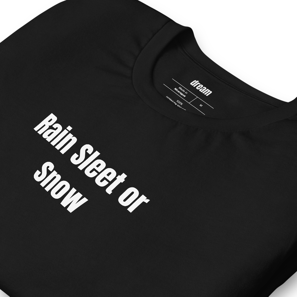 Rain Sleet or Snow - Mail Carrier t-shirt